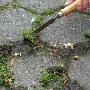 BLACK-TOP-WITH-GRASS-1-600h