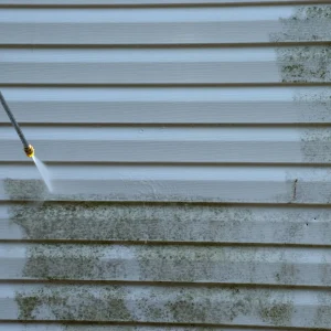 home+exterior+cleaning-2880w