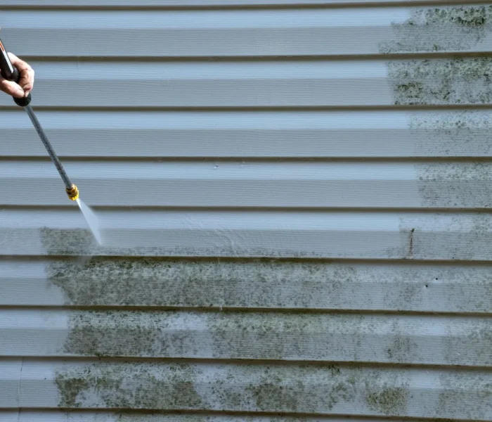 home+exterior+cleaning-800h