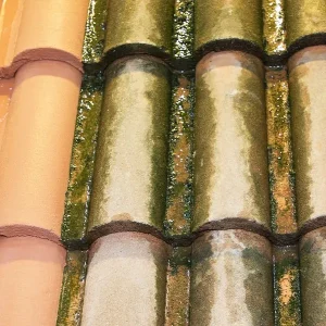 roof-soft-washing-vs-pressure-washing-2020-1877514671-600h